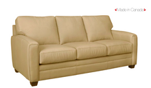 Load image into Gallery viewer, Sir Georgetown