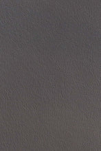 Load image into Gallery viewer, Nicole Leather Sofa