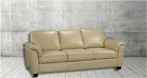 Manitoba Leather Sofa